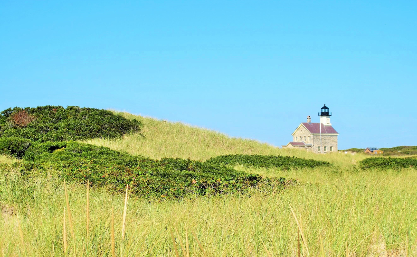 Lighthouse in a green field